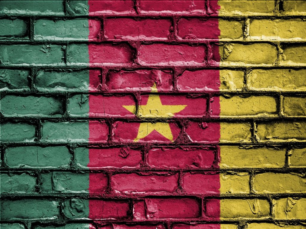 Was macht den Kaffee aus Kamerun aus? 1 kamerunische Kaffee