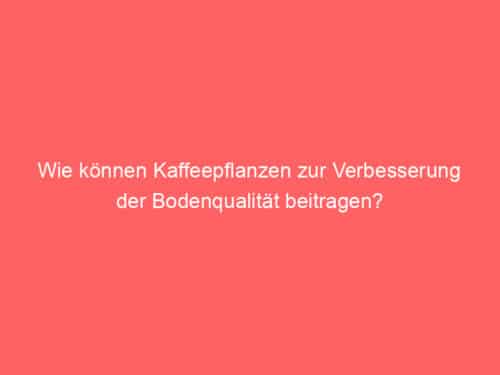 Wie können Kaffeepflanzen zur Verbesserung der Bodenqualität beitragen?