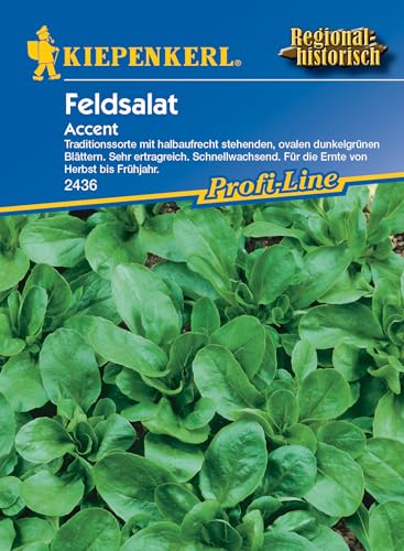 2436 Kiepenkerl Accent Feldsalat Samen Winterhart | Extra Frosthart | Schnellwachsend | Ertragreich | Feldsalat Saatgut | Wintersalat Samen | Salat Samen