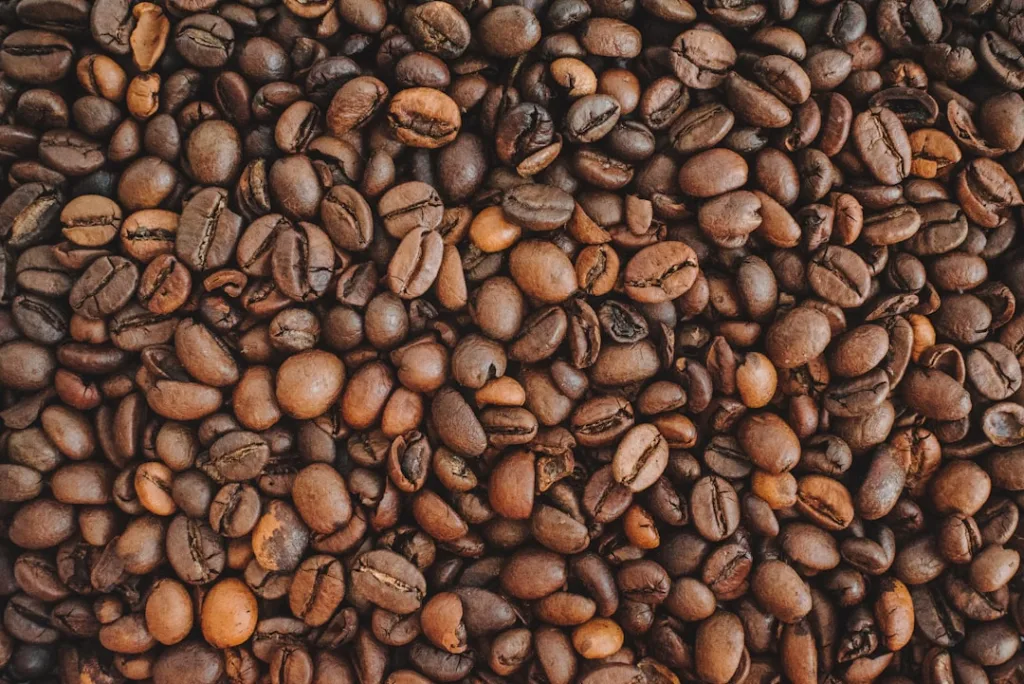 Arabica oder Robusta: Welche Bohne passt zu welchem Kaffee? 1 Kaffeebohnen als Vergleich von Arabica und Robusta
