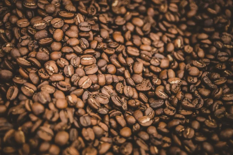Frische Kaffeebohnen vor dem Mahlen