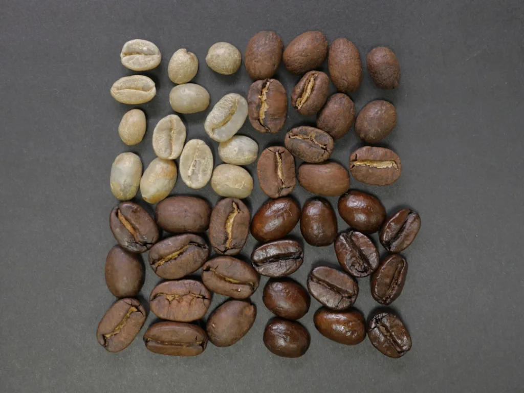 Kaffeebohnen als Grundlage für präzise Kaffee-Dosierung