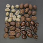 Kaffeebohnen als Grundlage für präzise Kaffee-Dosierung