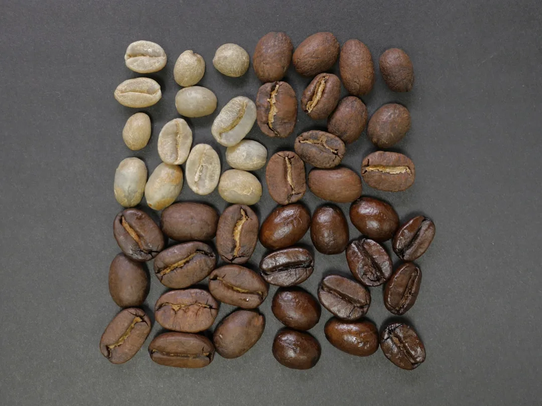 Kaffeebohnen als Referenz für eine konstante Dosierung
