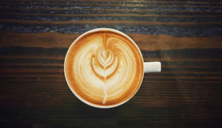 Milchschaum und Milchkaffee: Cappuccino, Latte und Co. 1 Cappuccino mit Milchschaum