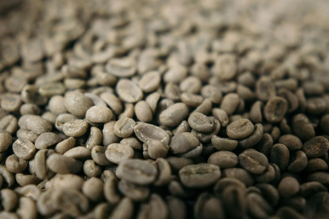 Grüne Kaffeebohnen vor dem Rösten